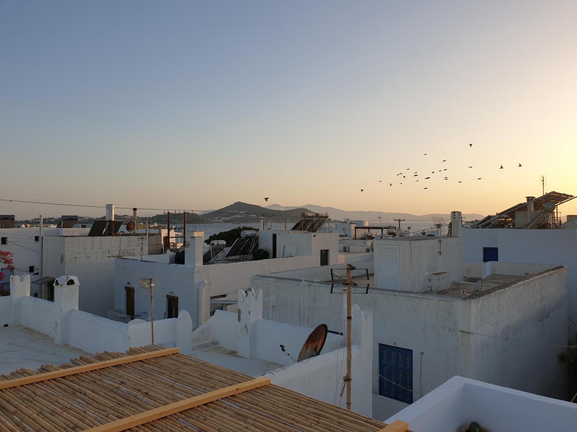 My Island Homes And Residence Naxos City Værelse billede